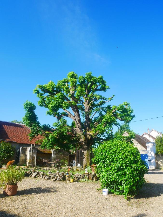 Au Coeur De La Cour Villa Saint-Georges-sur-Cher Exterior photo