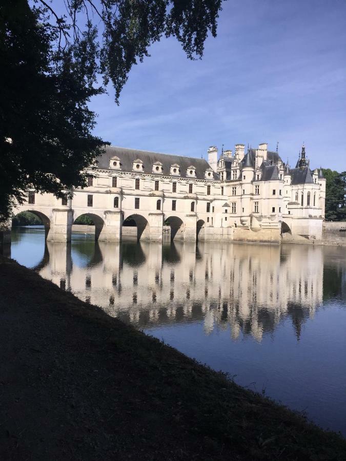 Au Coeur De La Cour Villa Saint-Georges-sur-Cher Exterior photo